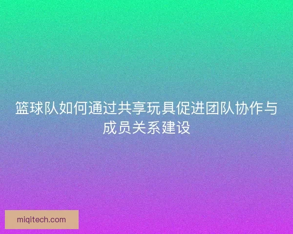 篮球队如何通过共享玩具促进团队协作与成员关系建设